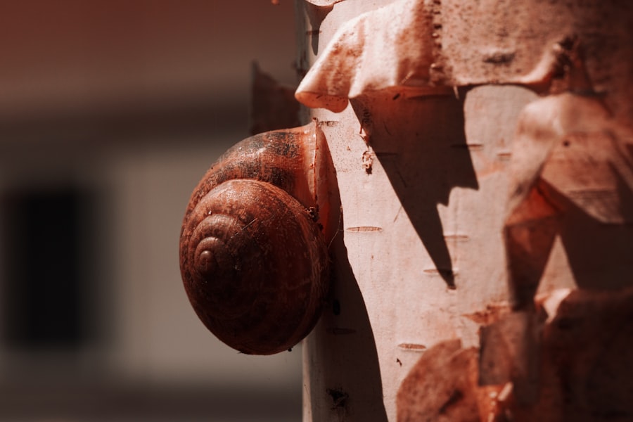 Photo rusty Chevrolet Cruze
